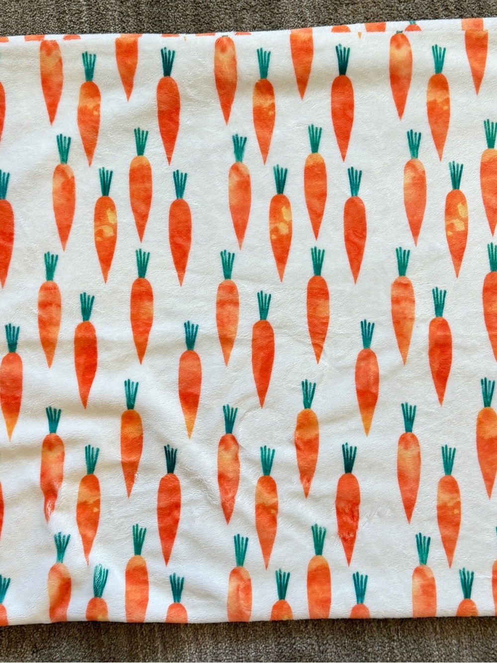 Minky Couture Carrot Print Pillowcase - Orange & Teal